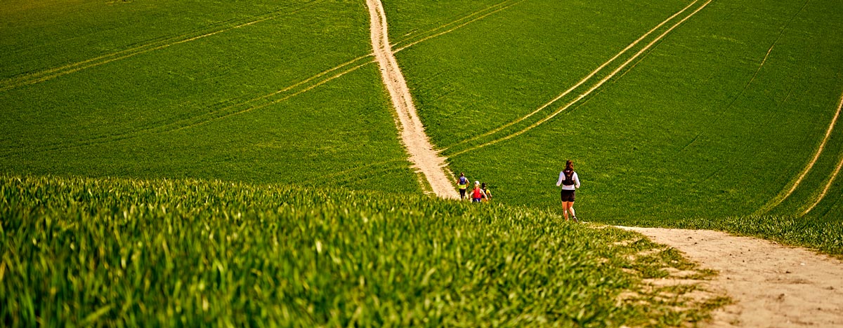 Brighton Trail Marathon Course
