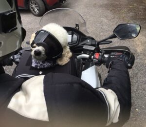 Dora with her dog on her motor bike