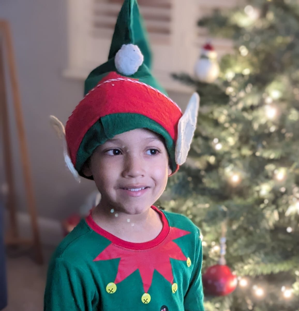 Freddie with the Christmas tree