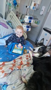Vinnie in bed with a support dog sat also sat on his bed