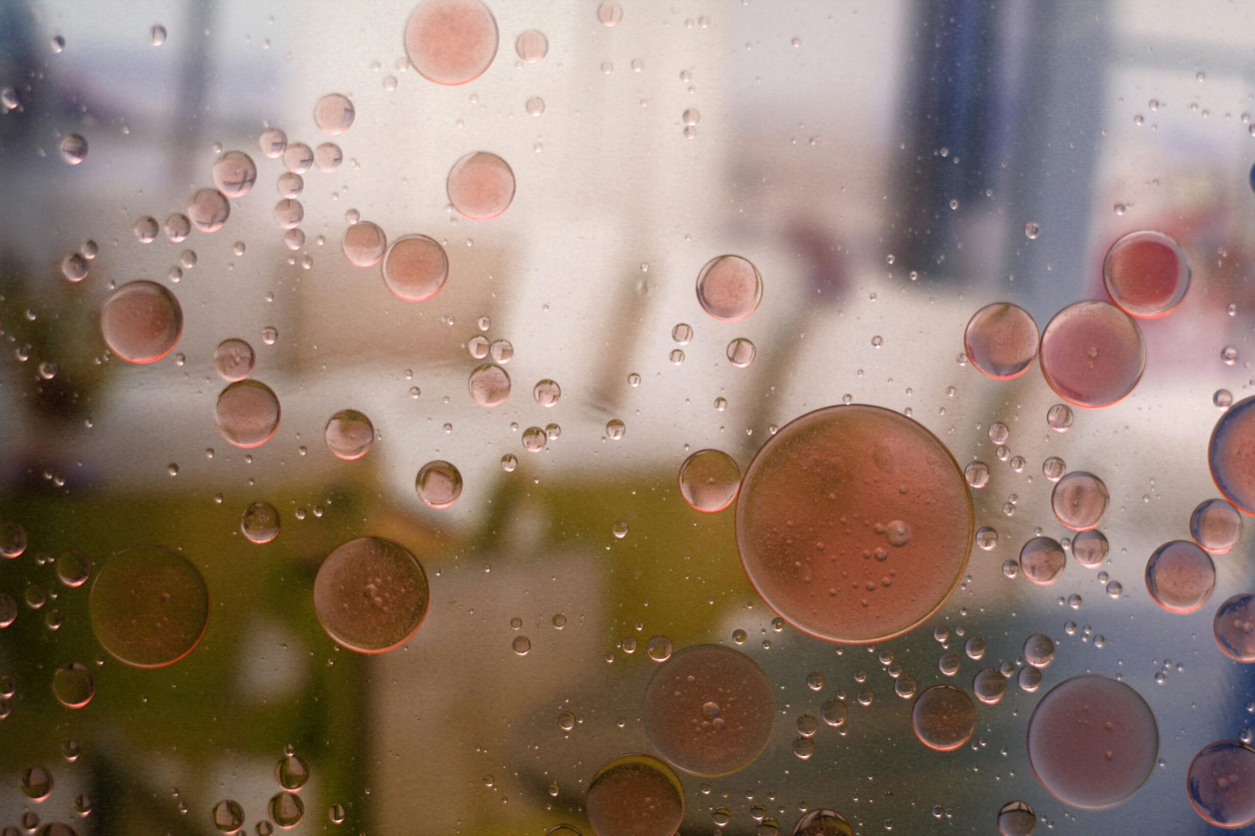 conceptual bubbles